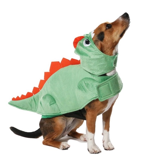 Vibrant Life Halloween Dog Costume and Cat Costume: Dinosaur, Size Medium - Picture 3 of 6